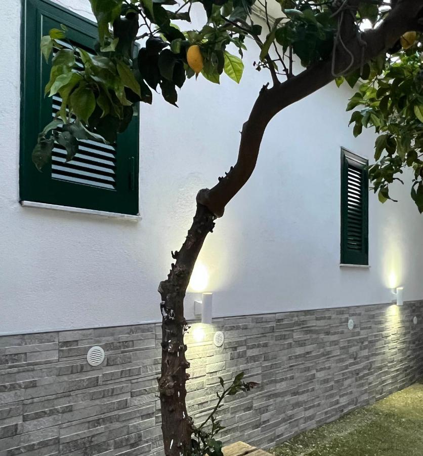 B&B Casa Vacanze Nonna Clara Neapol Zewnętrze zdjęcie